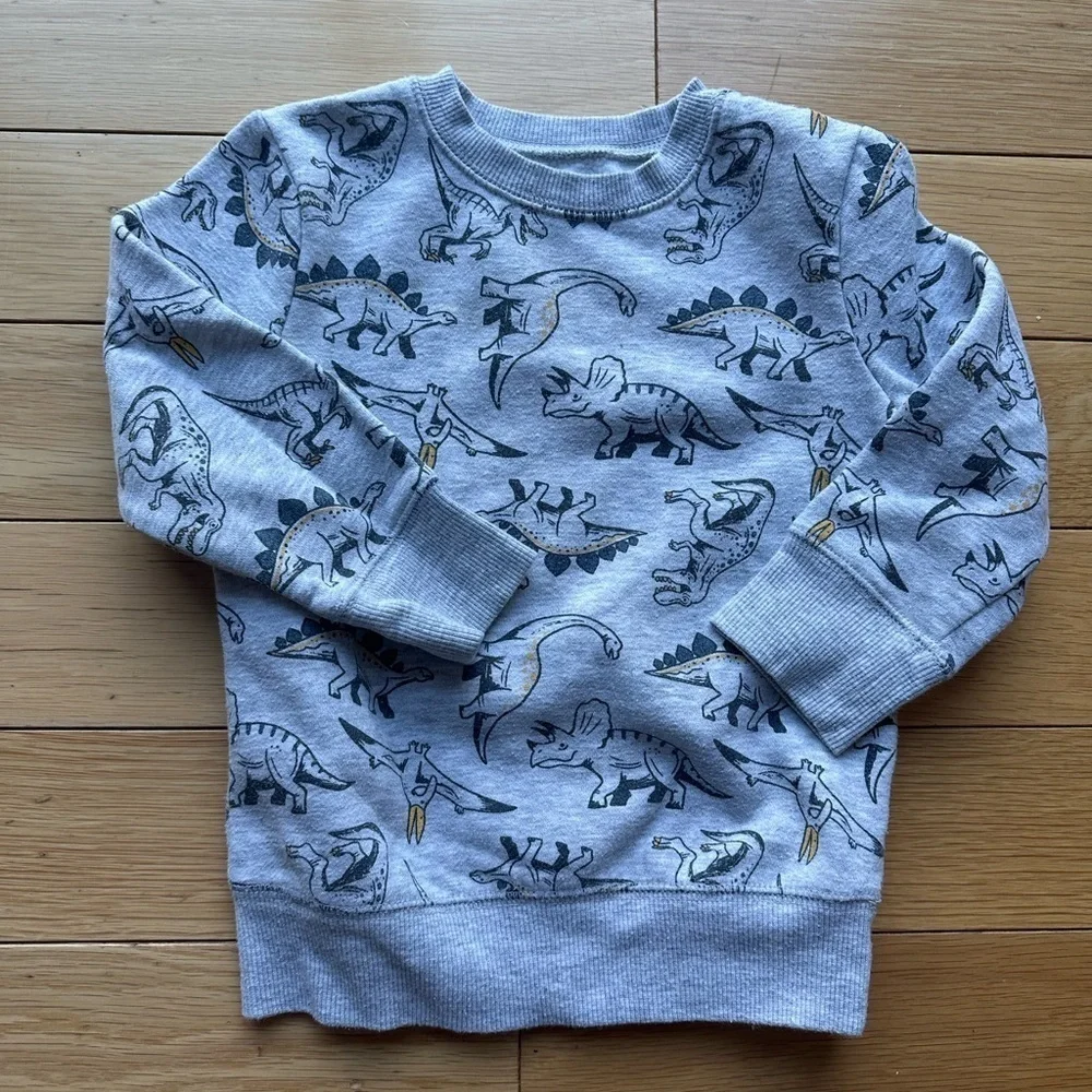 Kids' Gray Dinosaur & Blue Superhero Sweatshirts size 2T